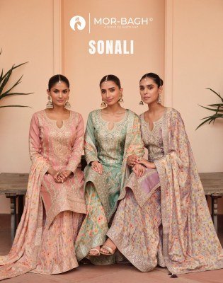 Aashirwad Creation Sonali Free Size Stitched Premium Silk And Chinnon Set ethnic wear Wholesale Aashirwad Creation 