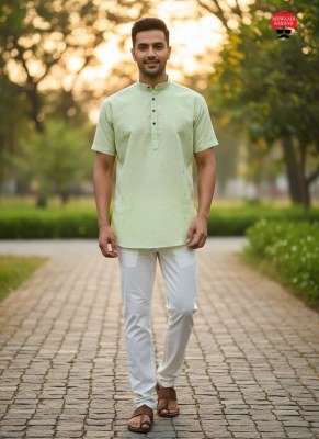 B Desi 2.0 Linen Cotton Short Kurta for Men Half Sleeve Jacquard Butta Kurta for Casual And Celebration Wear Wholesale mens kurta