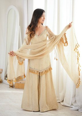D. No. 5357 Doremon Crush Top Palazzo with Lace Border Dupatta 3 Piece Set Fancy Palazzo suit catalogue