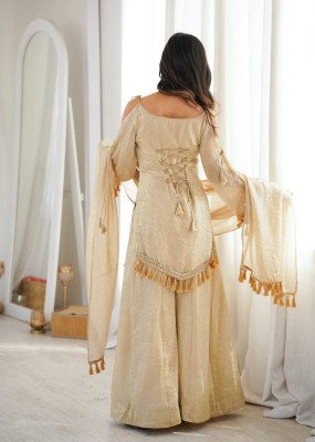 D. No. 5357 Doremon Crush Top Palazzo with Lace Border Dupatta 3 Piece Set Fancy Palazzo suit catalogue