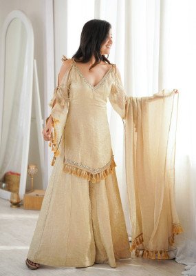 D. No. 5357 Doremon Crush Top Palazzo with Lace Border Dupatta 3 Piece Set Fancy Palazzo suit catalogue