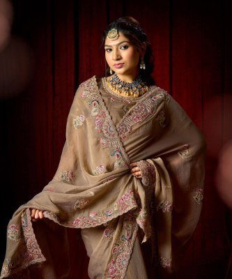 LT Fashion Jimmy Vol-09 PN Cloud Fancy Embroidery Saree Collection sarees catalogs