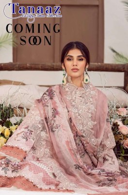 Tanaaz Vol 1 Exclusive Karachi cotton Pakistani Suits catalogue wholesale rate  Amavi