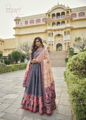 Virasat by Ratrani killer silk digital patola silk Exclusive gown catalogue  gown catalogs