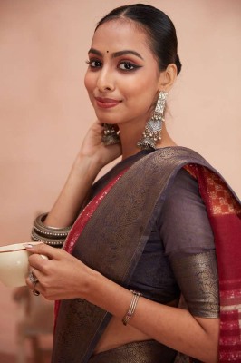 sr presents Meera Queen Chanderi Jequard Border designer saree catalogue wholesaler  Amavi